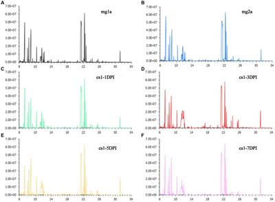 Plasma metabonomics of classical swine fever virus-infected pigs